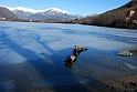 Lago Piccolo di Avigliana ghiacciato_030